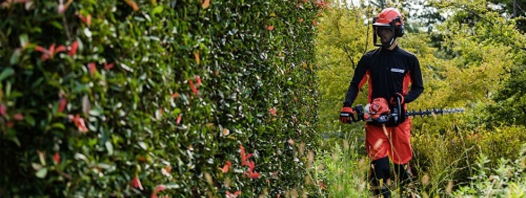 What kind of Hedge trimmer is best for you?